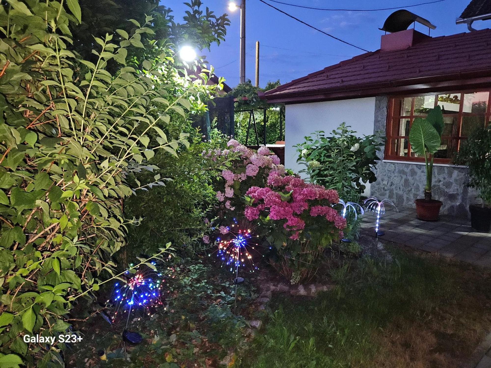 Hana Superior Apartments Bihac Luaran gambar